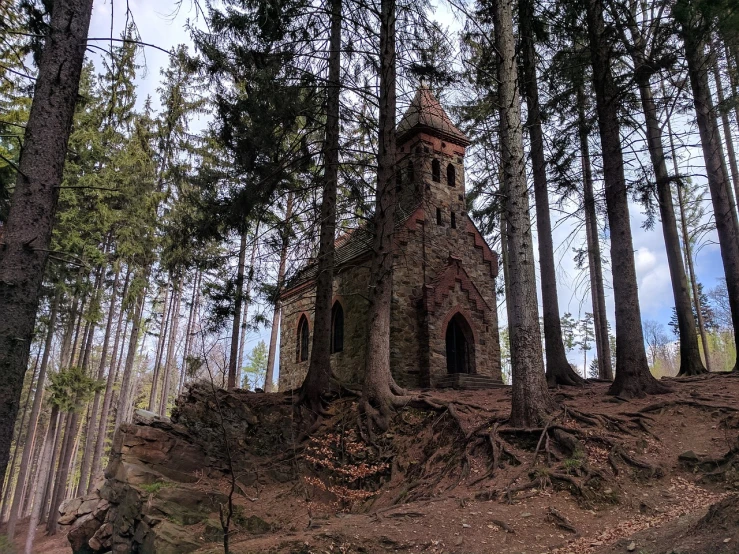 a small church in the middle of a forest, renaissance, scary pines, from 1890, old mystic ruins, panorama view