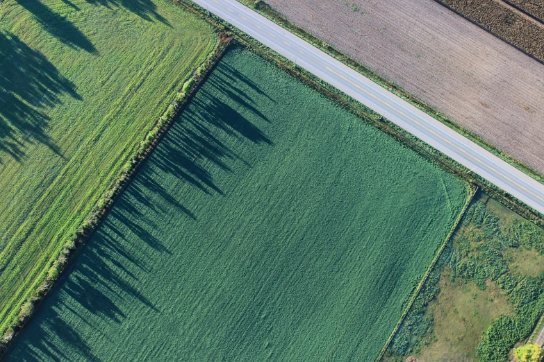 a car driving down a road next to a lush green field, by Richard Carline, land art, satelite imagery, canada, in a row, morning detail