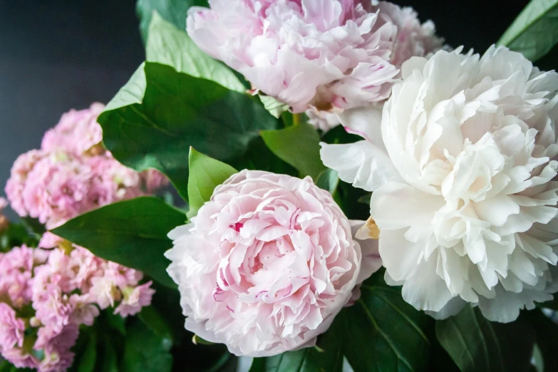 a bunch of pink and white flowers in a vase, by Maksimilijan Vanka, unsplash, peony, in detail, flowers and foliage, fan favorite