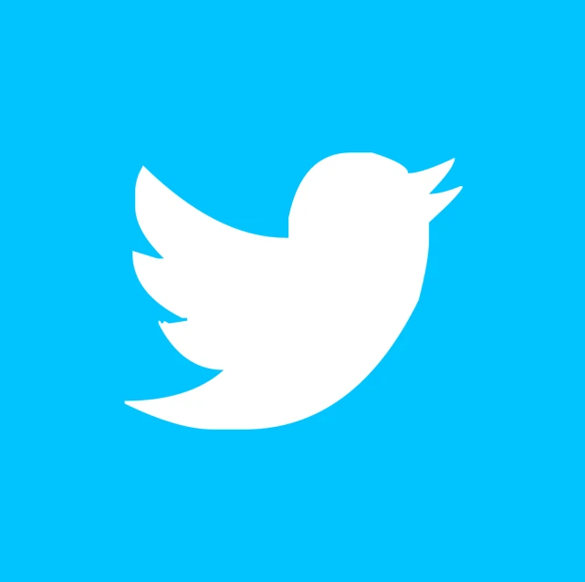 a white twitter logo on a blue background, flickr, no gradients, avatar image, video, dj