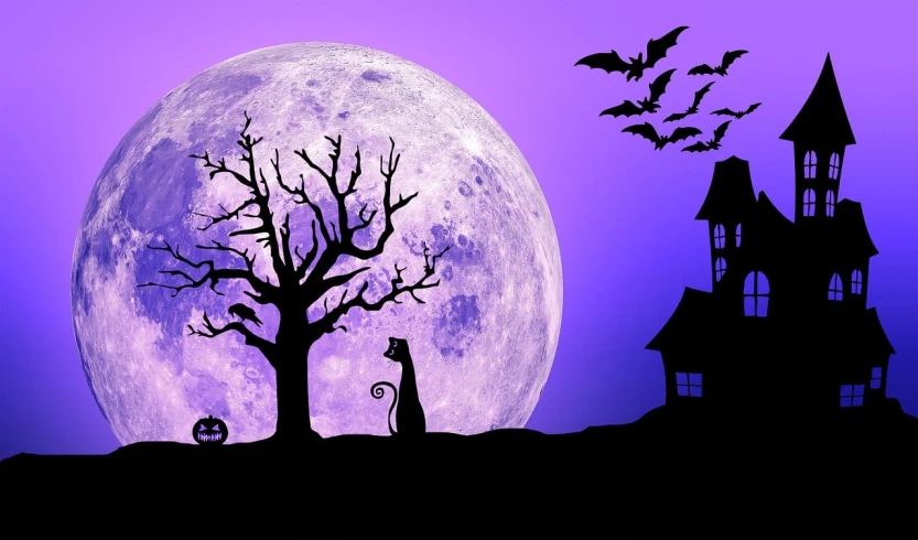 a halloween scene with a full moon and a spooky tree, trending on pixabay, conceptual art, purple cat, house background, grind, cat silhouette