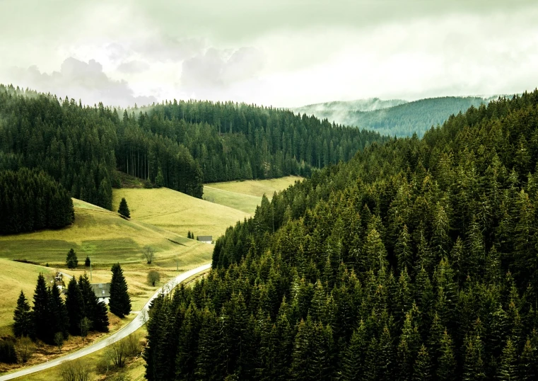 a forest filled with lots of green trees, a tilt shift photo, by Matthias Weischer, shutterstock, road between hills, gloomy weather. high quality, pine forests, stock photo