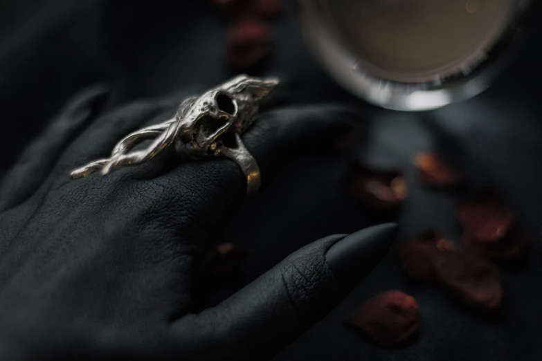 a close up of a person's hand with a ring on it, vanitas, black draconic - leather, product shoot, wolves and their treasures, full - view