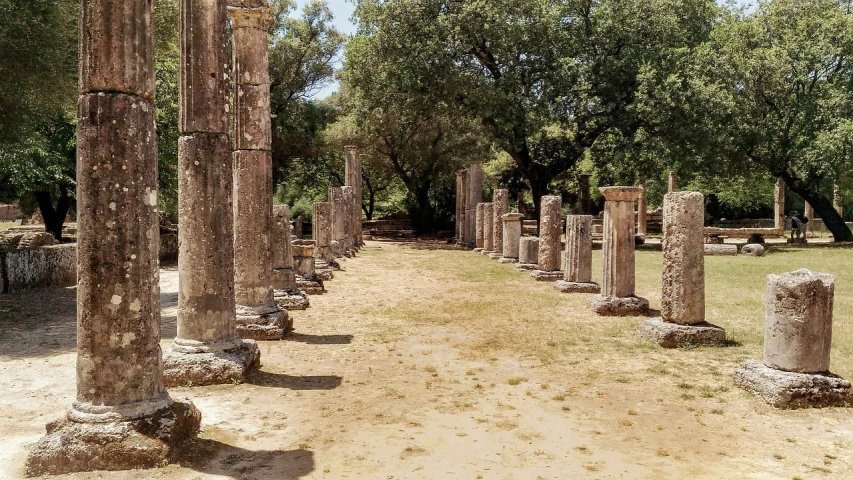 a number of columns in a field with trees in the background, a picture, pexels contest winner, neoclassicism, inside ancient greek ruins, with walkways, shot with iphone 1 0, lorica segmentum