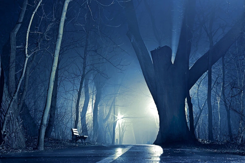 a bench sitting in the middle of a forest at night, a picture, inspired by Krzysztof Boguszewski, pale blue fog, dark street, amazing wallpaper, magical tree