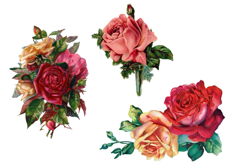 a bunch of flowers that are next to each other, a digital rendering, by Annie Rose Laing, shutterstock, romanticism, translucent roses ornate, 1 9 7 0 cut out collage, 3 - piece, 1920s gaudy color