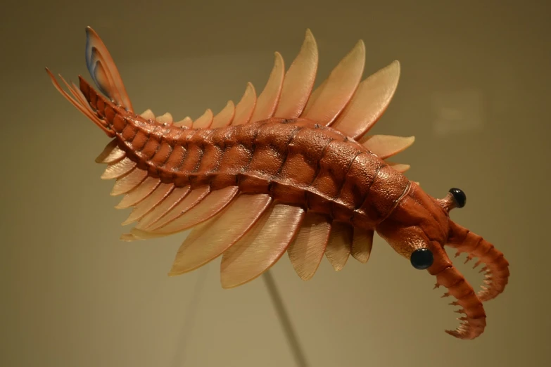 a close up of a sculpture of a fish, by Linda Sutton, flickr, hurufiyya, giant centipede, realistic photography paleoart, fearow, spine