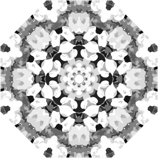 a black and white image of a snowflake, a digital rendering, generative art, seen through a kaleidoscope, hexagonal stones, rorschach test, floral dream