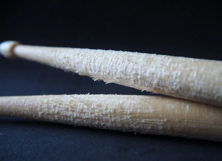 a couple of baseball bats sitting on top of a table, a macro photograph, by Jay Hambidge, flickr, fractal ivory carved ruff, dried palmtrees, macro close up, against dark background