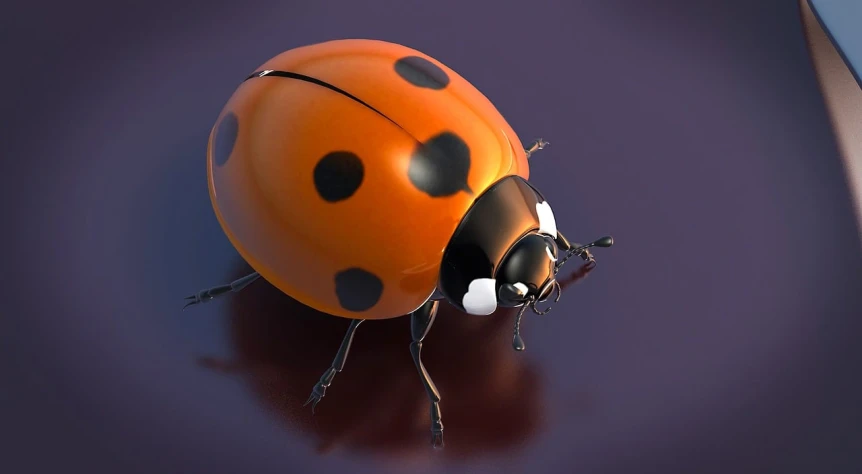 a ladybug sitting on top of a purple surface, a raytraced image, by David Boyd, zbrush central contest winner, octanerender, orange subsurface scattering, high angle close up shot, octane render ] ”