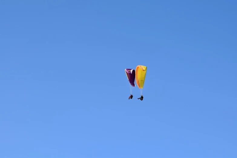 a person that is flying a kite in the sky, a photo, figuration libre, parachutes, purple and yellow, 7 0 mm photo, two male