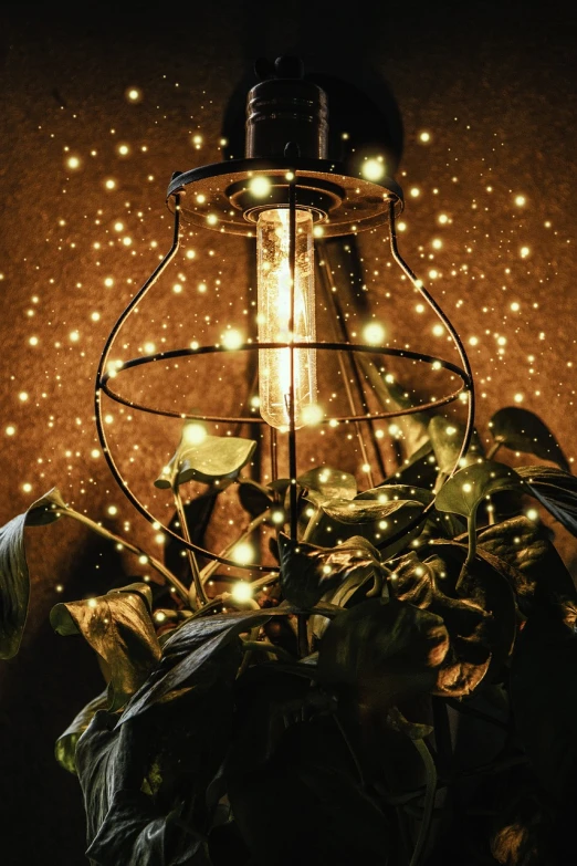 a light that is sitting on top of a plant, by Alexander Fedosav, pixabay, magical realism, glittering stars scattered about, warm lantern lighting, high quality fantasy stock photo, string lights