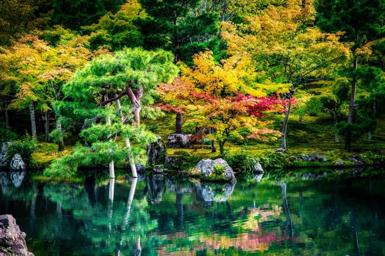 a pond filled with lots of water surrounded by trees, a photo, inspired by Itō Jakuchū, shutterstock, vivid colors!!, full of colour 8-w 1024, beautiful ancient trees, green and yellow colors