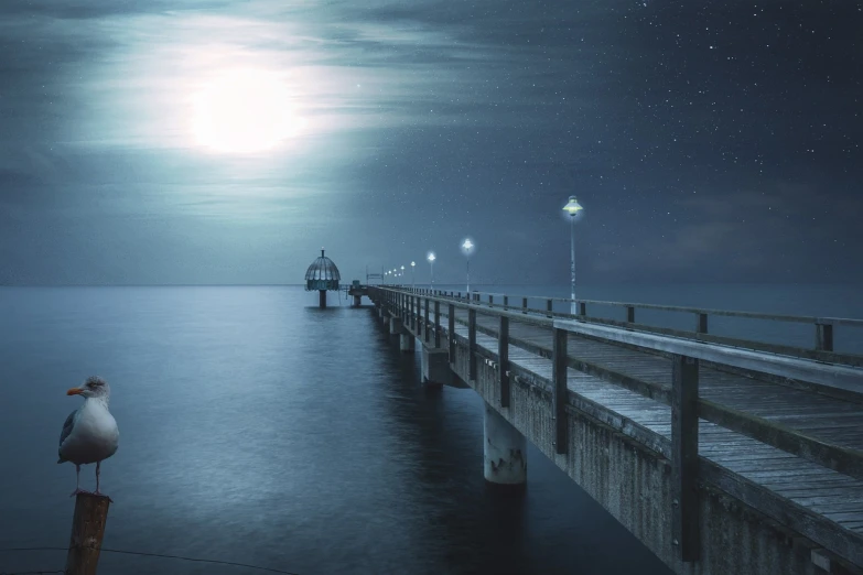 a seagull standing on a pier at night, a matte painting, by Wolfgang Zelmer, romanticism, long exposure photo, blueish moonlight, bridge, mid shot photo