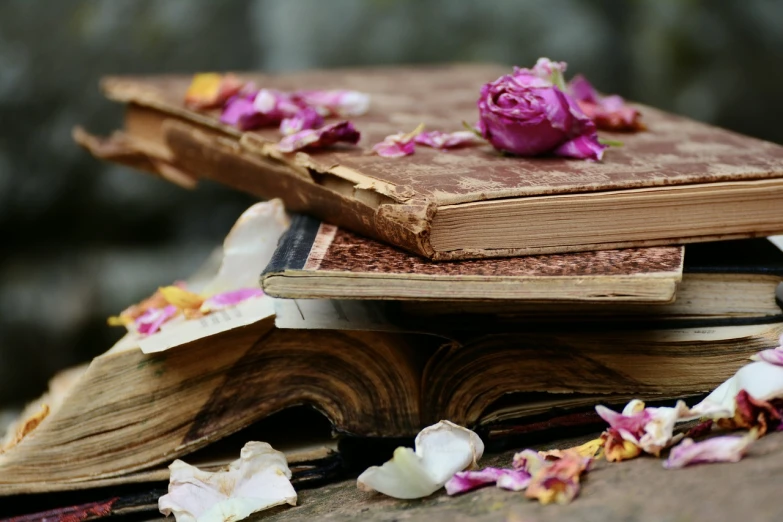 a pile of books sitting on top of a wooden table, by Rhea Carmi, romanticism, flower petals, old manuscript, rose, discovered in a secret garden