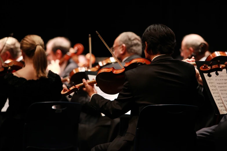 a man in a black suit playing a violin, a picture, by Samuel Birmann, shutterstock, people enjoying the show, back facing, group photo, many small details