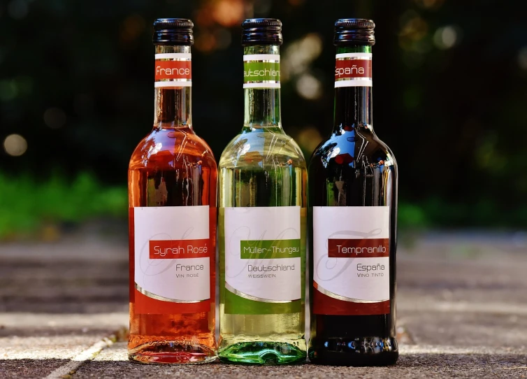 three bottles of wine sitting next to each other, a portrait, by Thomas Häfner, pixabay, bauhaus, summer vibrance, full product shot, sienna, schnapps