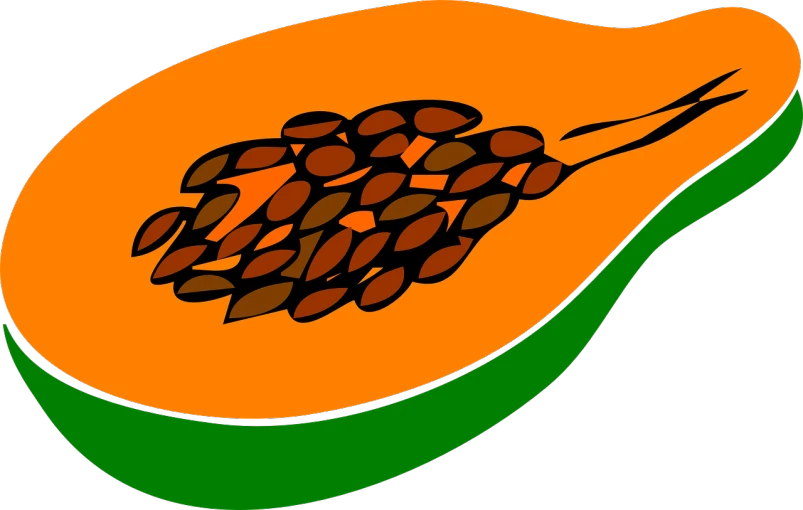 a papana cut in half on a black background, a digital rendering, pixabay, hurufiyya, in front of an orange background, wearing a melon, beans, !!! very coherent!!! vector art