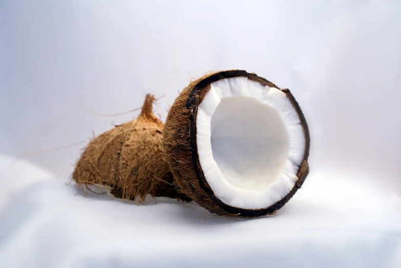 a close up of a coconut on a white surface, by Alexander Scott, wikimedia commons, avatar image