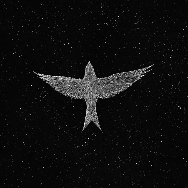 a bird that is flying in the sky, a stipple, tumblr, hurufiyya, deep night sky, scarfolk, silver wings, liberation