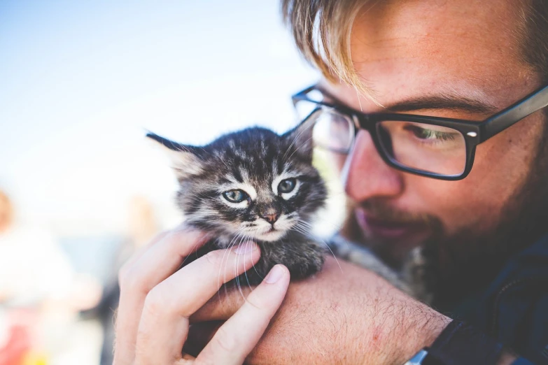 a close up of a person holding a kitten, by Niko Henrichon, pexels, man with glasses, with a small beard, two male, avatar image