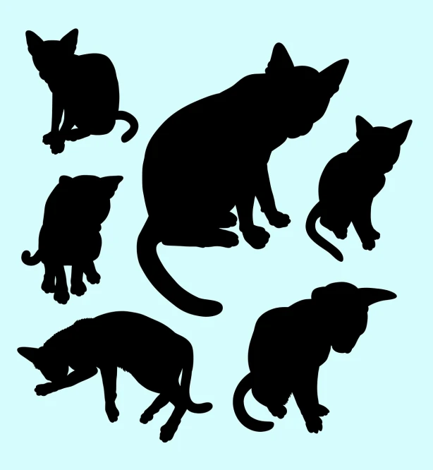 a set of silhouettes of cats on a blue background, vector art, conceptual art, very high angle view, they are crouching, 600mm, amazonian