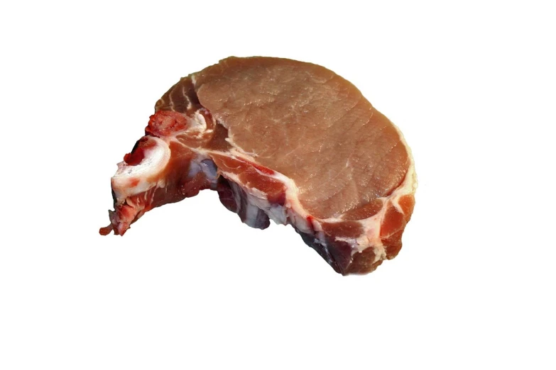 a piece of meat with a bite taken out of it, a picture, pork meat, cutout, georgic, round chin