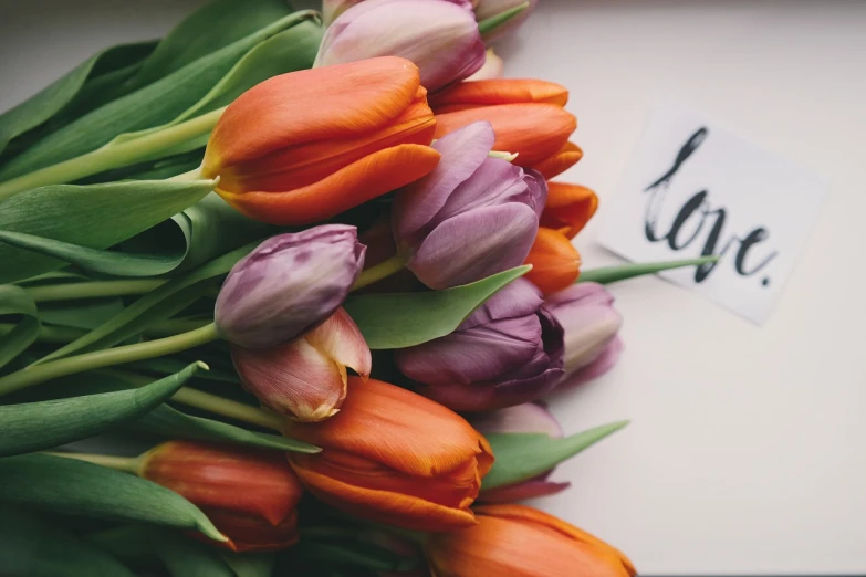 a bunch of tulips sitting on top of a table, romanticism, orange and purple color scheme, high angle close up shot, handwriting title on the left, they are in love