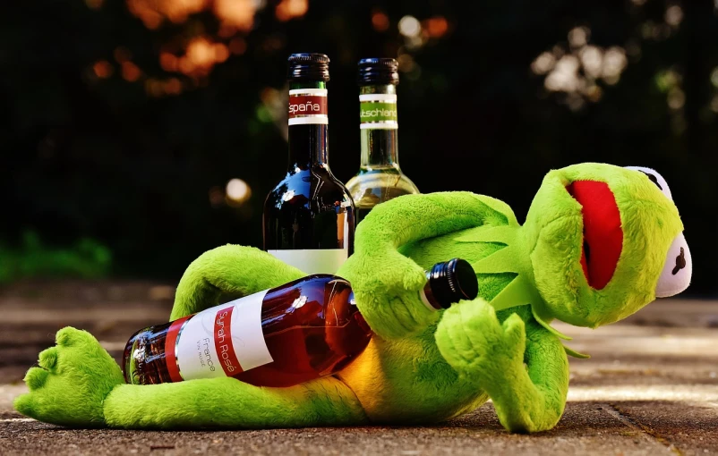 a stuffed frog laying on the ground next to a bottle of wine, a picture, pexels, kermit the frog, holding beer bottles, muppets, high res photo