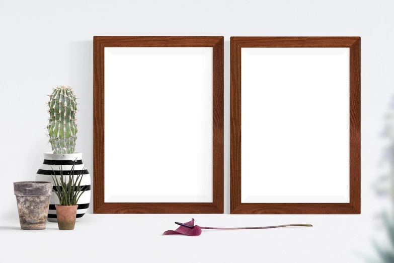 a mirror sitting on top of a table next to a potted plant, a minimalist painting, postminimalism, 4 k product photo, some square paintings, beautiful wooden frame, wide screenshot