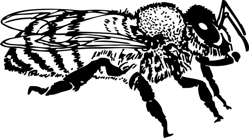 a black and white photo of a motorcycle, a raytraced image, inspired by Wojciech Siudmak, generative art, the creature sits in a car, amoled wallpaper, banner, 4 k hd film still