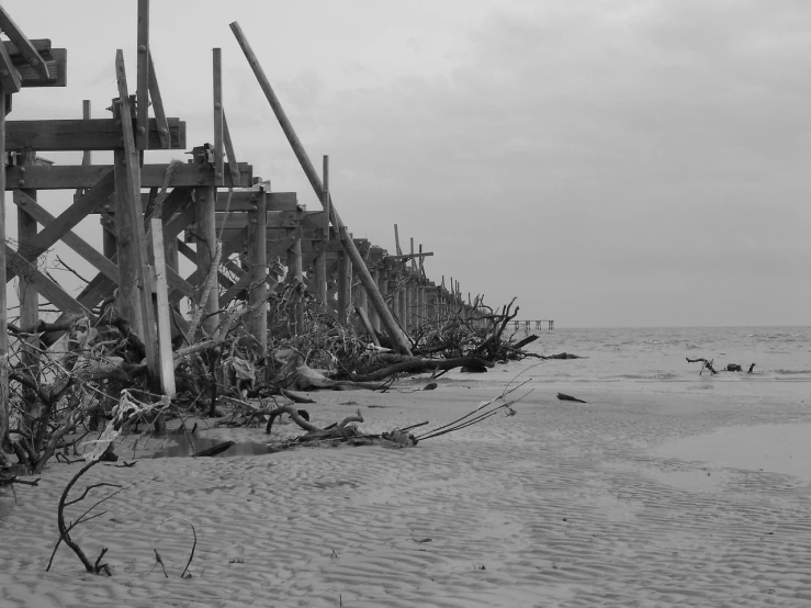 a black and white photo of a beach, a black and white photo, destroyed human structures, wooden supports, very accurate photo