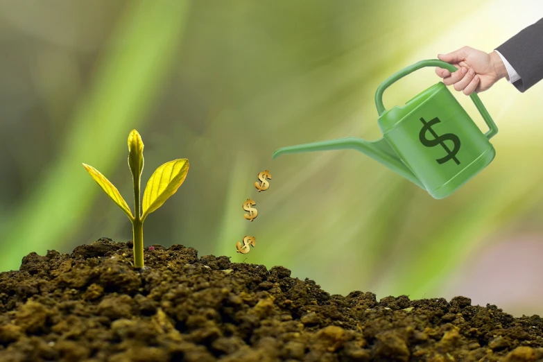 a person pouring money into a green watering can, a digital rendering, by Zahari Zograf, pixabay, thriving ecosystem, commercial banner, the source of future growth, dug stanat