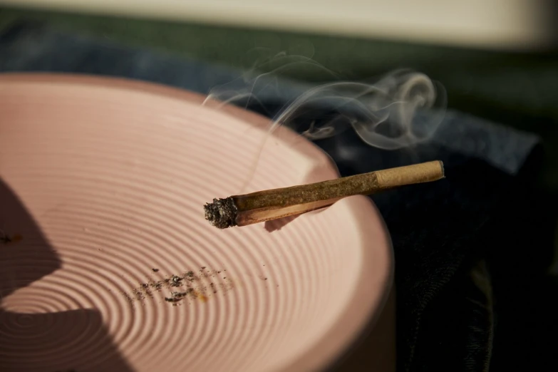 a close up of a cigarette on a pink plate, by Elsa Bleda, purism, cannabis!, stick and poke, morning haze, bamboo