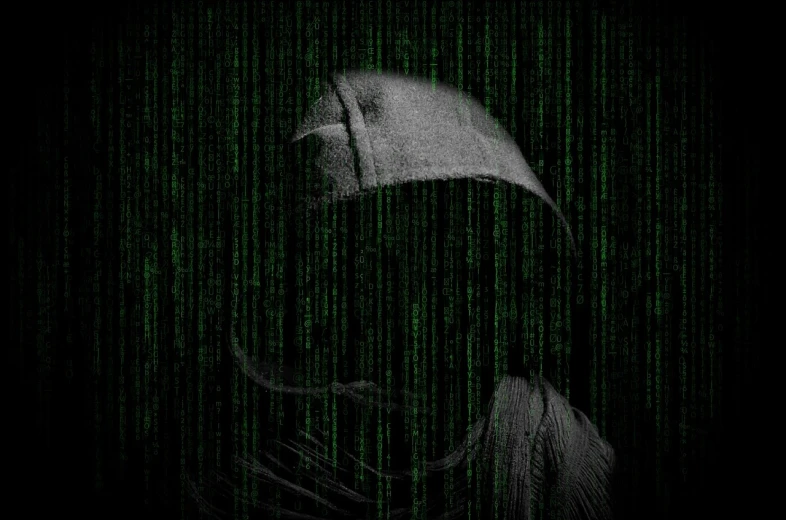 a man in a hoodie standing in front of a green background, pixabay, ascii art, crow head, closeup photo, hacking into the mainframe, crows as a symbol of death