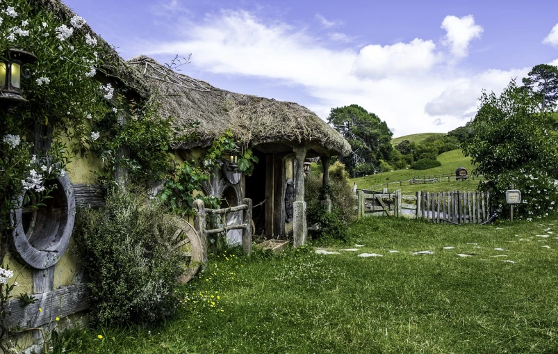 a house with a thatched roof in the middle of a field, pixabay contest winner, renaissance, weta workshop the hobbit, world seen only through a portal, 7 0 s photo, vine covered