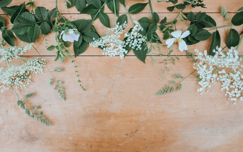 a bunch of flowers sitting on top of a wooden table, aestheticism, ivy, background image, green and white, flatlay