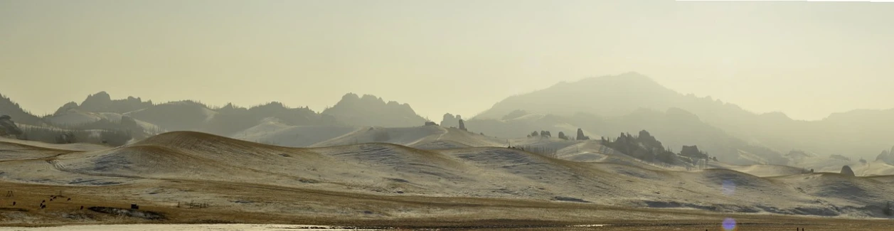 a herd of cattle standing on top of a snow covered field, by Nam Gye-u, flickr, romanticism, pagodas on hills, tuscany hills, sparse frozen landscape, grain”