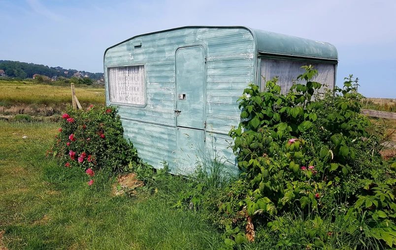 a blue trailer sitting on top of a lush green field, by Edward Corbett, seaside, with a few vines and overgrowth, photo of poor condition, from the outside it looks folksy