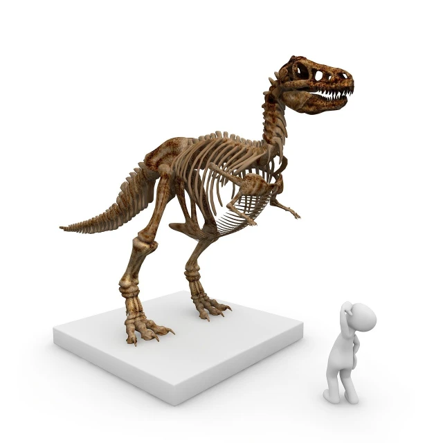 a person standing next to a dinosaur skeleton, inspired by Adam Rex, realism, cute 3 d render, anthropology photo”