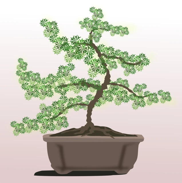 a bonsai tree in a pot on a table, an illustration of, inspired by Shūbun Tenshō, clover, above side view, vortex of plum petals, whole page illustration