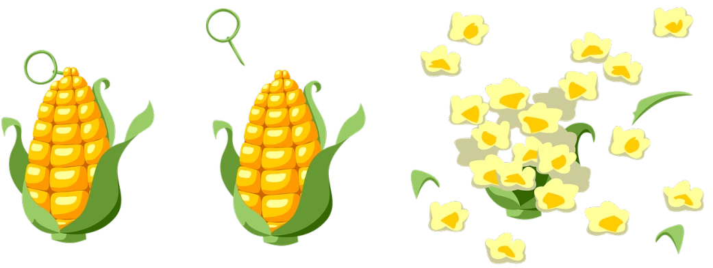 a bunch of corn on a black background, a digital rendering, naive art, bloom and flowers in background, spritesheet, r-number, eating