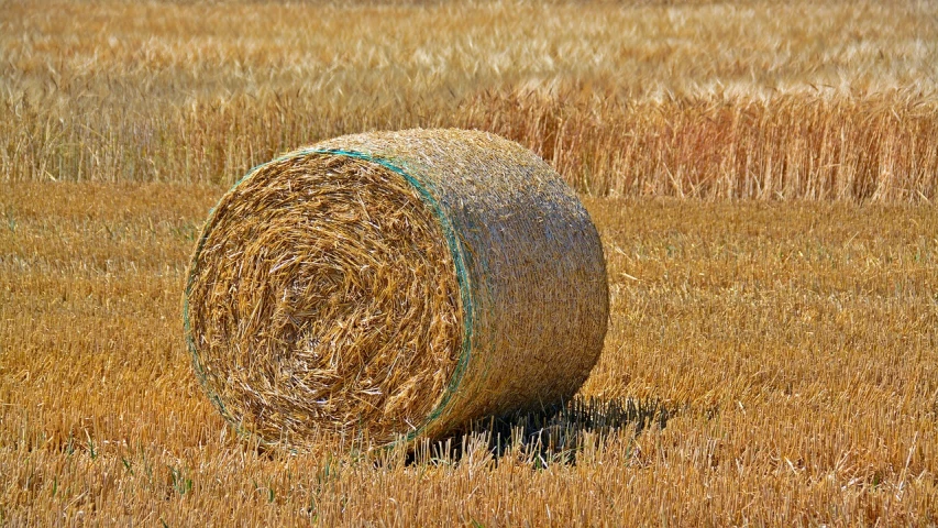 a hay bale sitting in the middle of a field, a stock photo, pixabay, complex layered composition!!, harvest fall vibrance, granular detail, viewed in profile from far away
