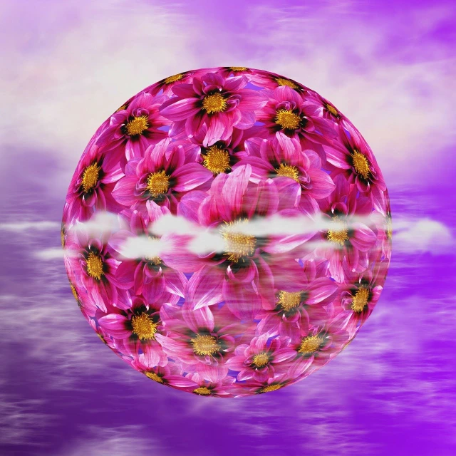 a ball of pink flowers floating in a body of water, a digital rendering, digital art, in the white clouds fairyland, chrysanthemum, digital art. photo realistic, psychedelic sky