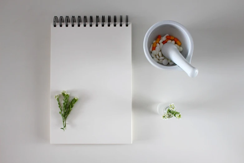 a notepad sitting on top of a table next to a bowl of flowers, a minimalist painting, inspired by Robert Mapplethorpe, hyperrealism, pills and medicine, herbs, half body photo, concept photo