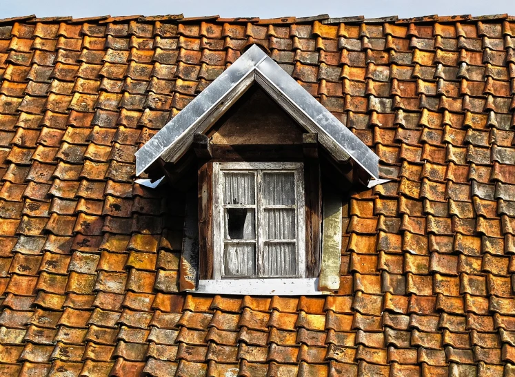 a close up of a window on a roof, inspired by Lodewijk Bruckman, shutterstock, old skin, orange roof, hyperdetailed!, northern france