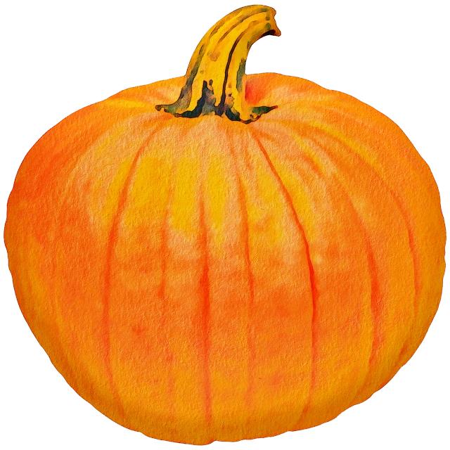 an orange and yellow pumpkin on a black background, a digital rendering, high res photo, clipart, red and orange colored, untextured