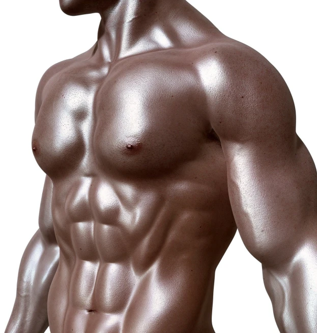 a close up of a man with no shirt on, a digital rendering, plasticien, huge glistening muscles, hyperedetailed photo, fully body photo, smooth contours