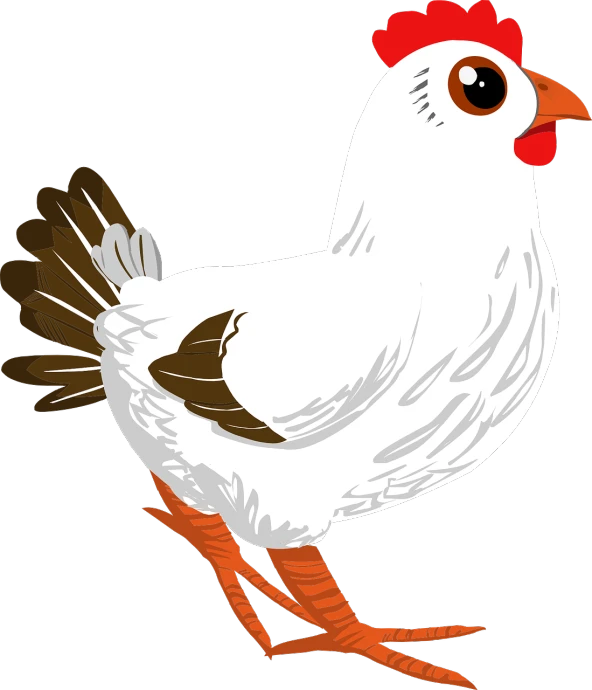 a close up of a chicken on a black background, an illustration of, courful illustration, lineless, white with black spots, full length view