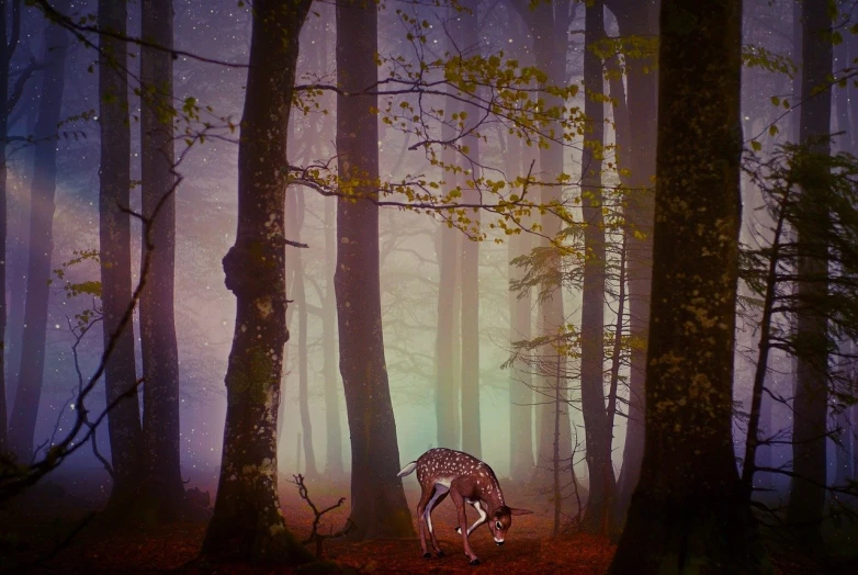 a deer standing in the middle of a forest, digital art, inspired by Gediminas Pranckevicius, digital art, tom chambers photography, lori earley, beautiful misty wood, high quality fantasy stock photo